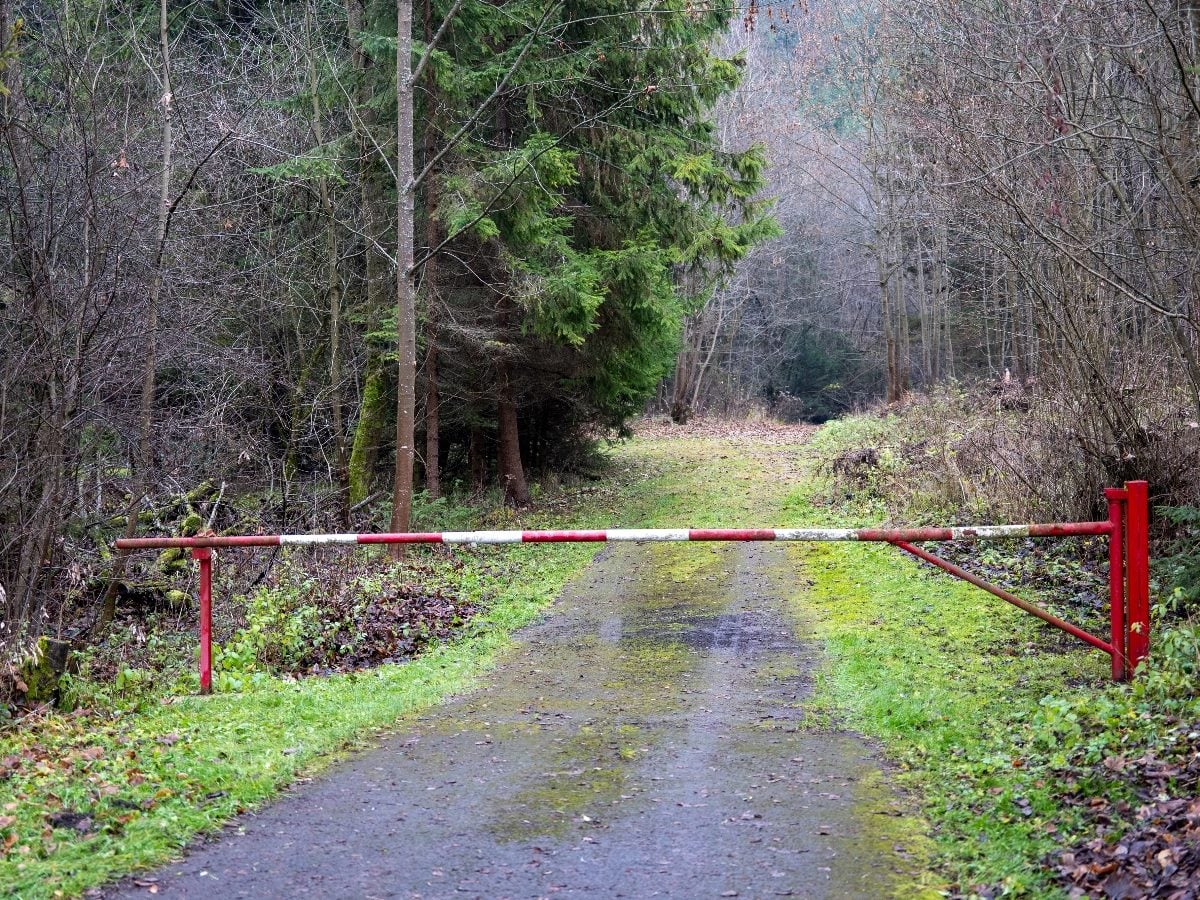 A red-and-white metal barrier blocks a narrow paved path leading into a wooded trail, with bare trees and evergreen foliage lining both sides of the road.