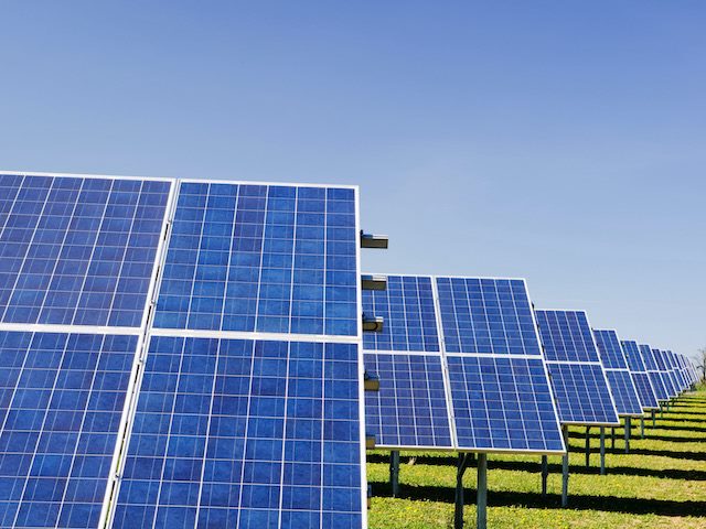 solar panels in a row