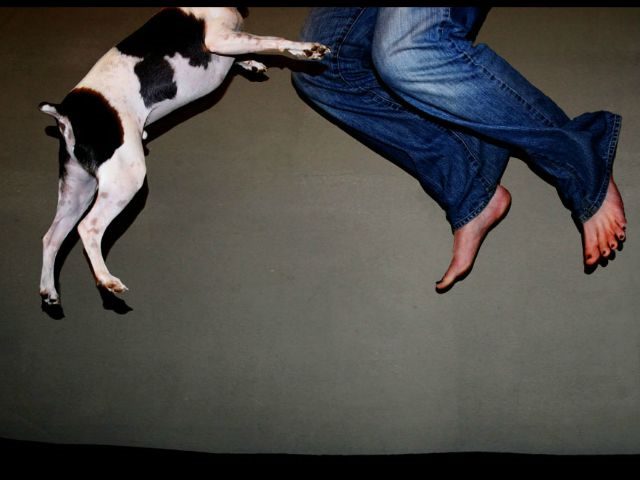 jumping person and dog