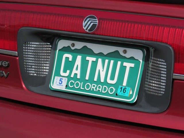 A green Colorado license plate on a red car that says, "CATNUT." 