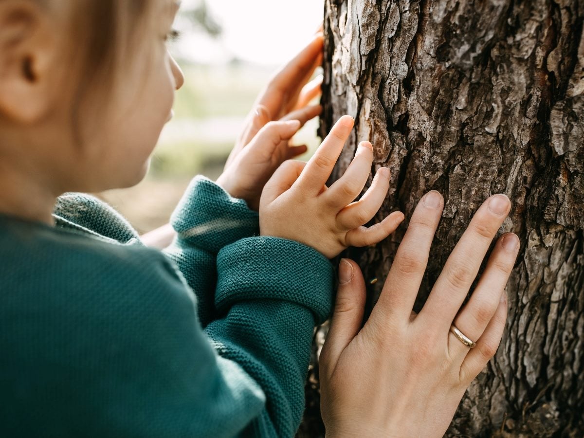 A child and an adult place their hands on the rough bark of a tree, highlighting human touch, texture and connection.