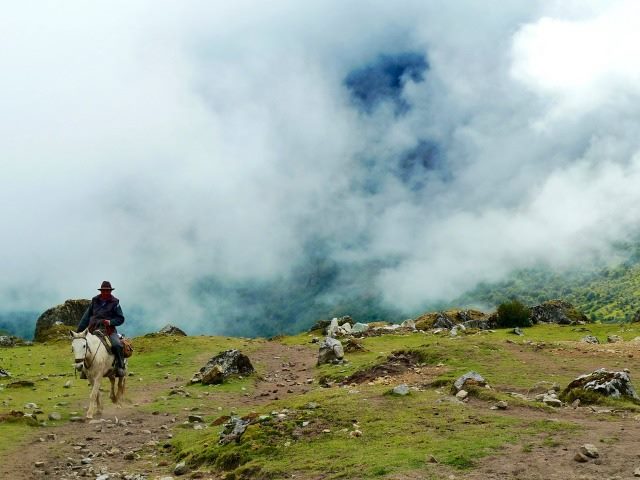 man on a horse