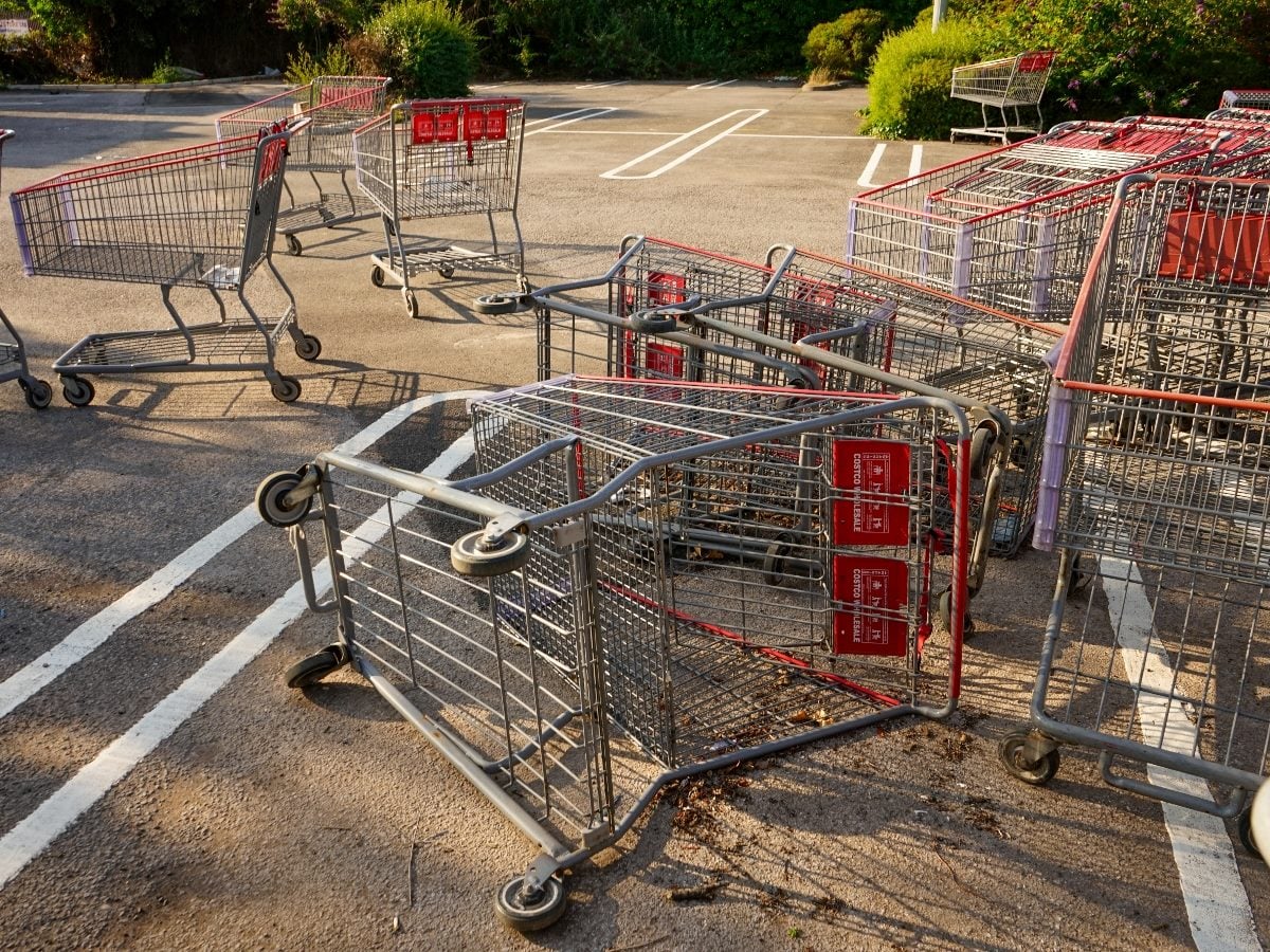 Shopping carts are scattered and overturned across a parking lot, with several carts tipped on their sides and others left unattended in parking spaces. Sunlight casts long shadows across the pavement, with trees and bushes visible in the background.