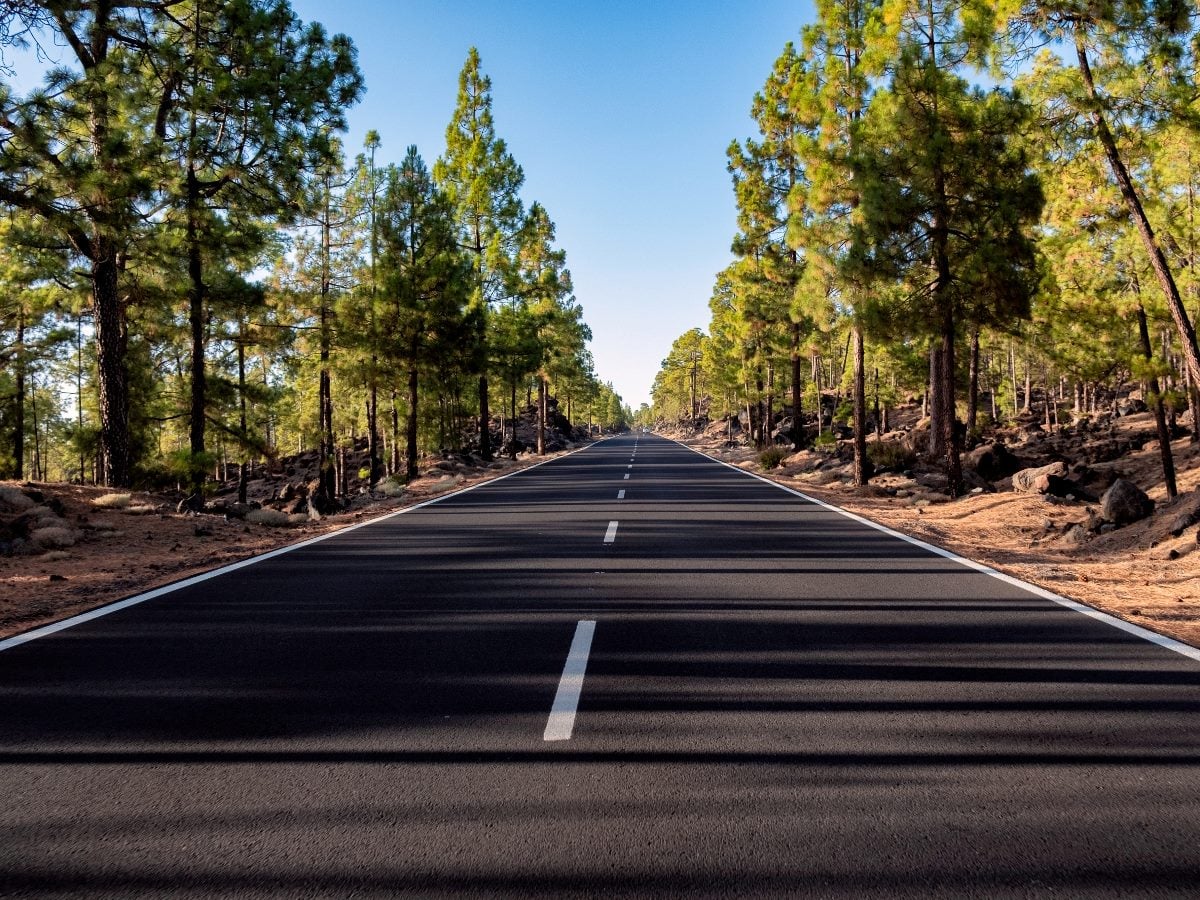 Long straight highway stretching through a dense pine forest under a clear blue sky, symbolizing a forward path or long-term strategic journey.