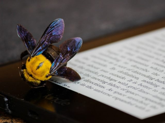 bee on a tablet