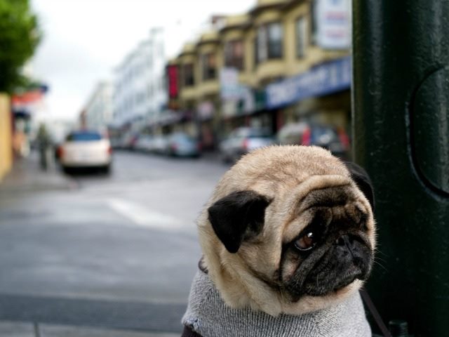 Channel Marketing Blues Got You Down