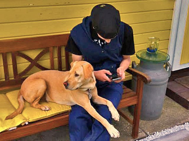 man with his dog, on a cell phone