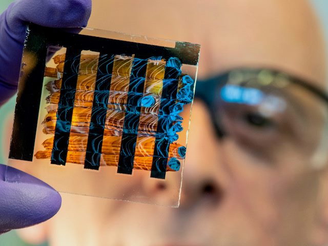 scientist examining a slide