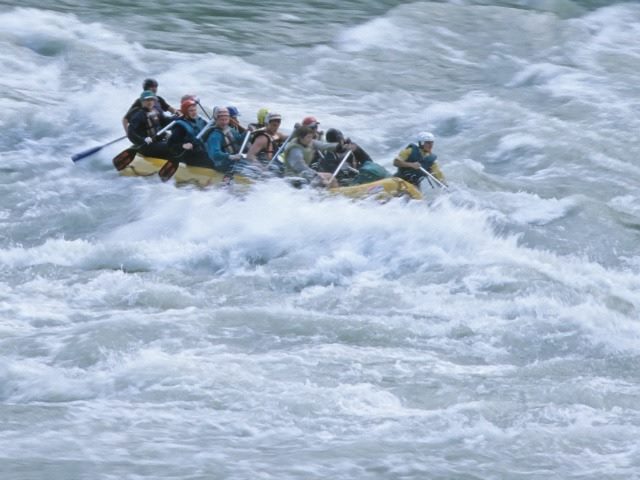 Dont Lose Your Assets in the Siberia of DAMs