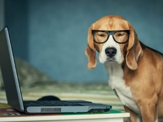 These Simple Tips Could Keep Google from Killing Your Gmail Marketing