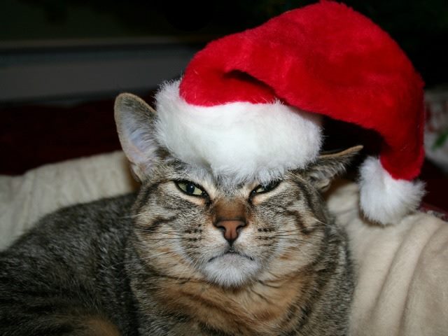Bah Humbug Could Your Holiday Emails Be Hurting You