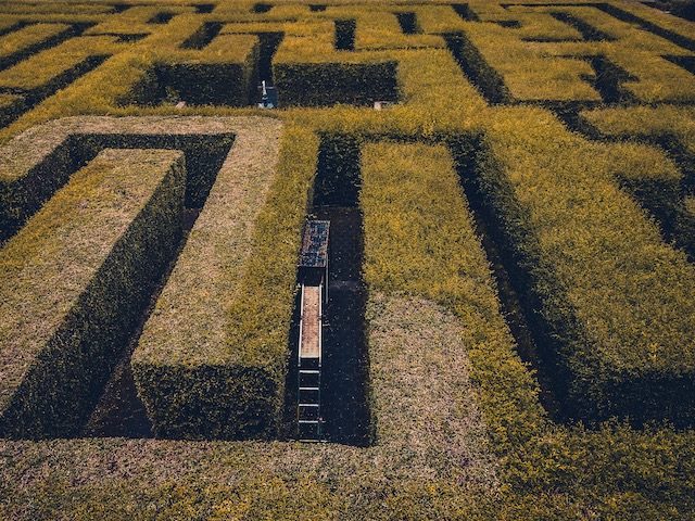 aerial photo of labyrinth made of shrubbery