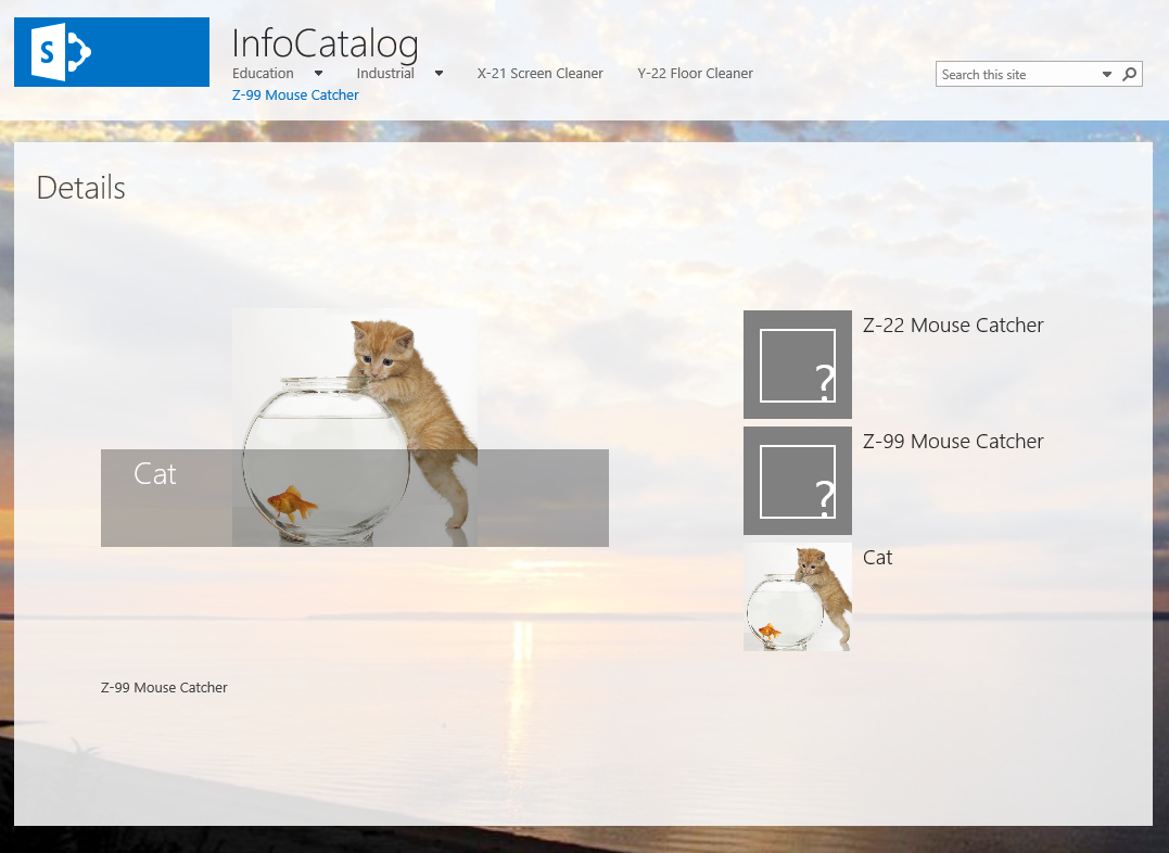 infocatalog details.png
