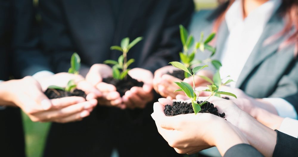 People dressed in business attire hold young plants cupped in their hands in piece about customer retention strategies and growth.