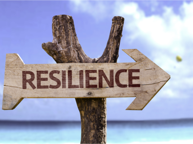 Resilience sign on a tree, on a tropical beach