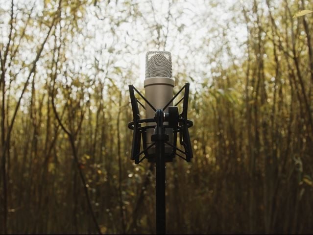A microphone in an outdoor wooded setting - brand voice concept