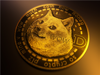 Newegg Allows Shoppers To Pay With Dogecoin