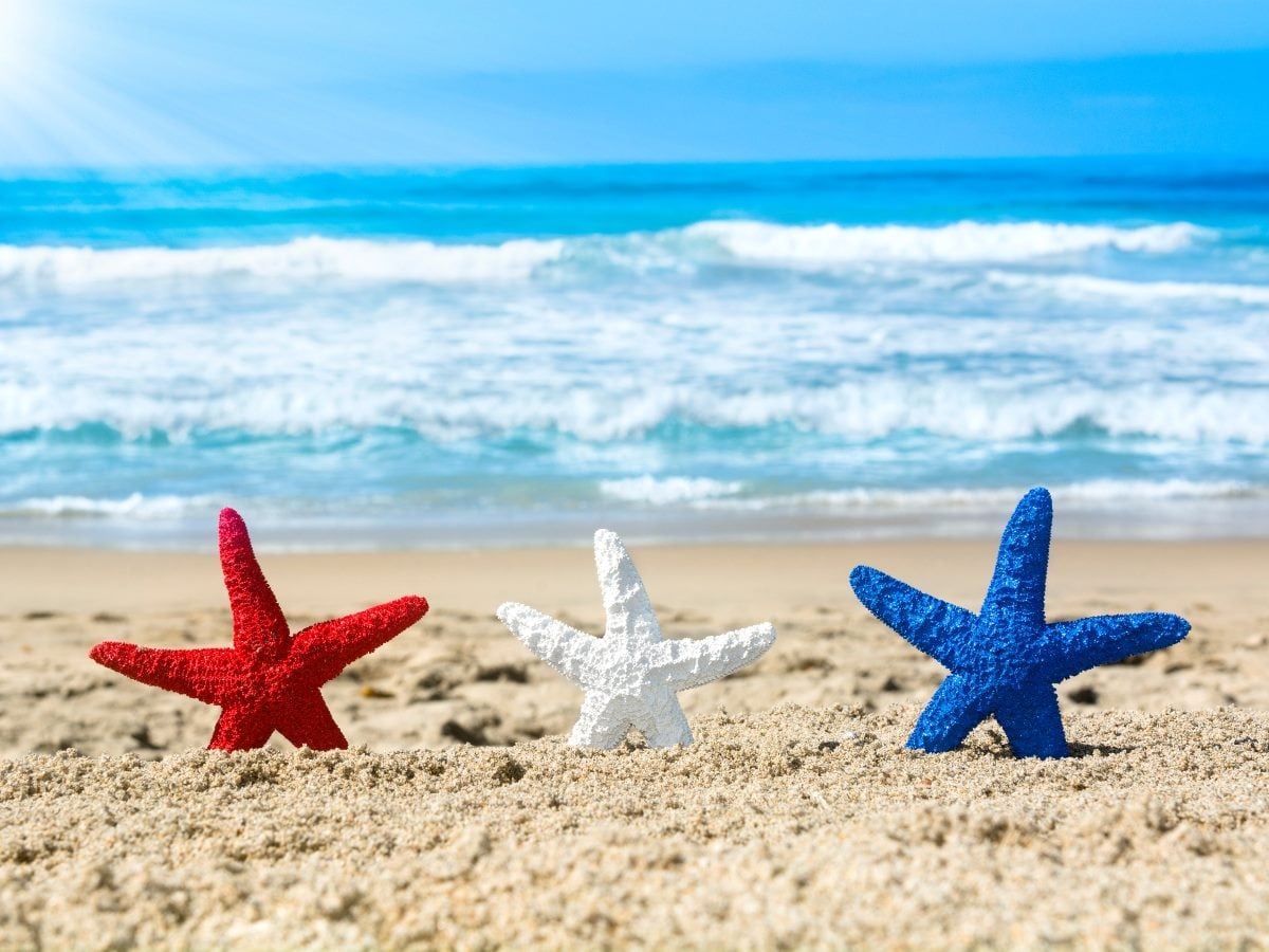 Red, white and blue starfish lined up in the sand with ocean waves in the background.