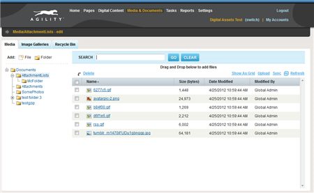 screenshot-agilityDAMupdate-2012.jpg
