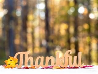 Thankful sign with leaves