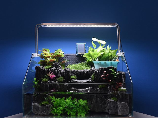 example of IoT, smart terrarium that self regulates temperature and climate