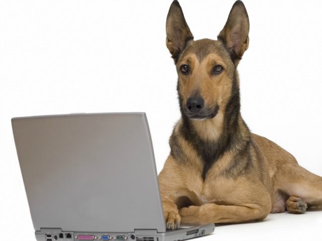 Cyber Monday Phishing Scams Intensifying