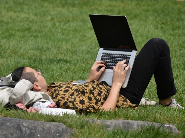 working on a laptop outside in a park