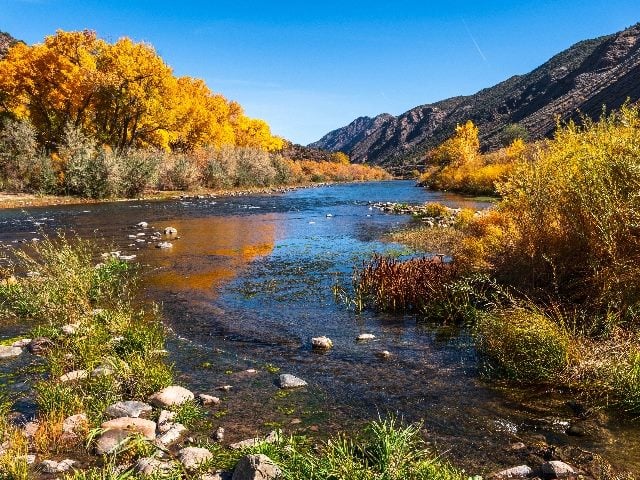 Beautiful autumn colors on Rio Grande river flowing through New Mexico. 