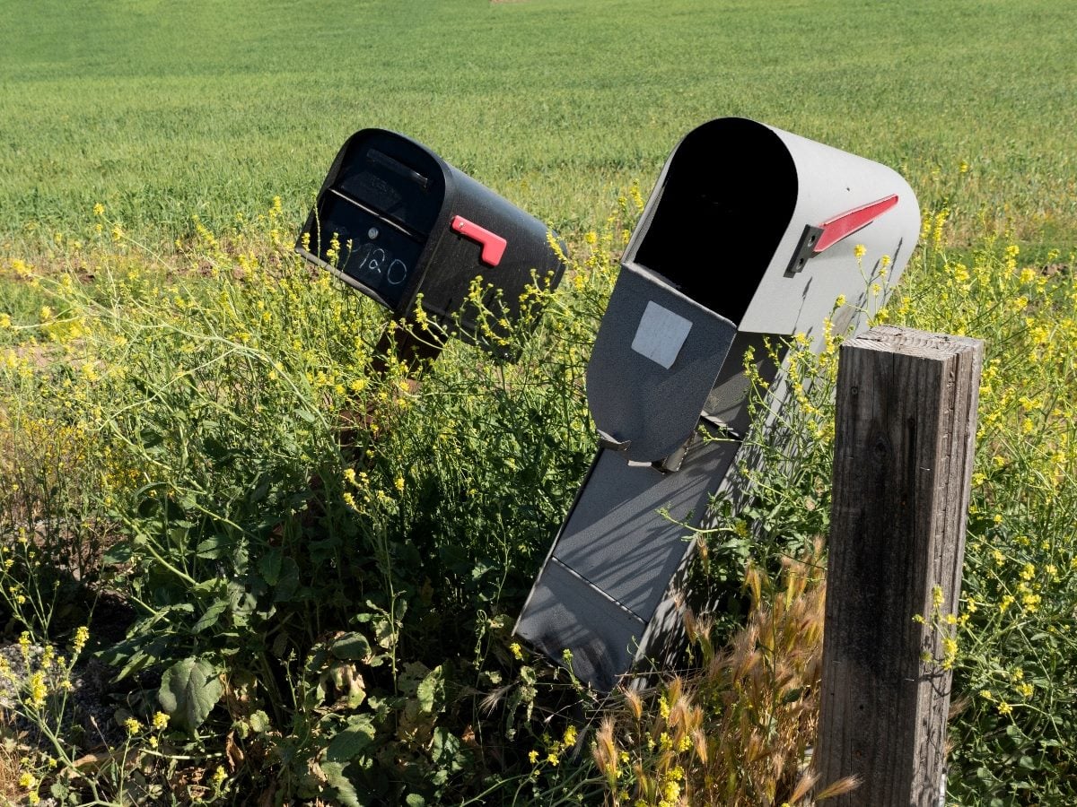 Two rural mailboxes—one black and one gray—leaning at angles in an overgrown field of tall grass and yellow wildflowers, with a wooden post nearby, suggesting neglect or disrepair.