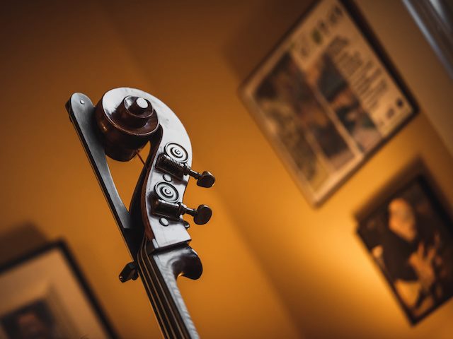 violin head