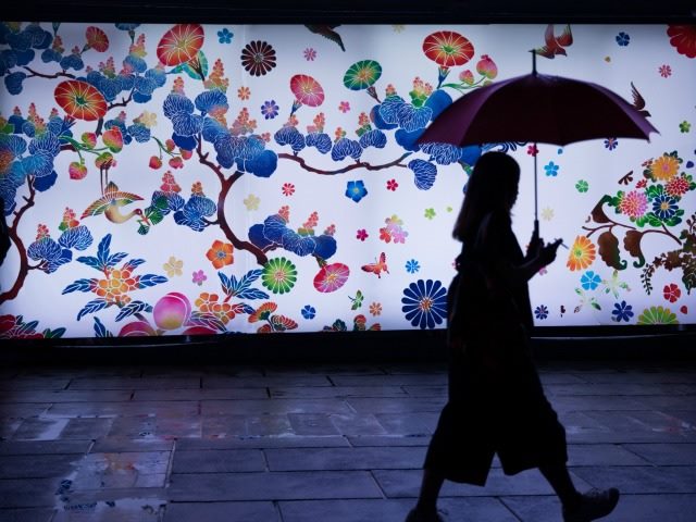 rainy day, bright and flowery wall