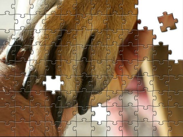 collaboration puzzle