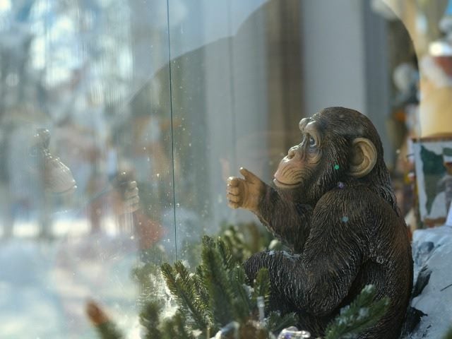 reflection of statue in window