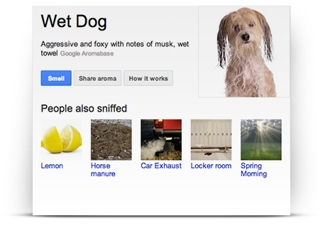 wet dog.png