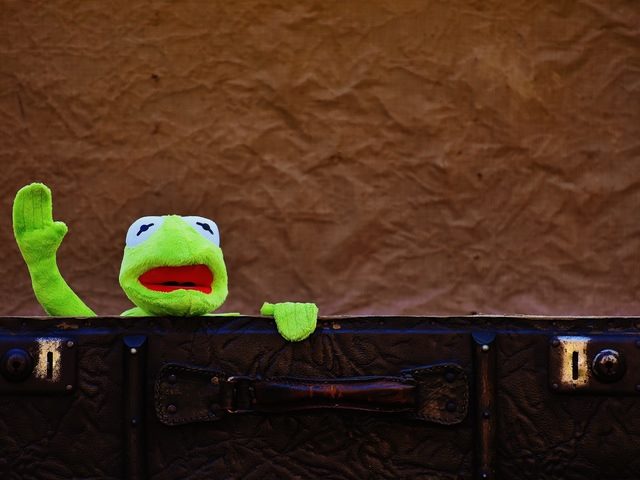 Kermit the frog waving farewell