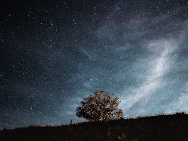 Nighttime sky with visible stars and a lone large tree in the center. 