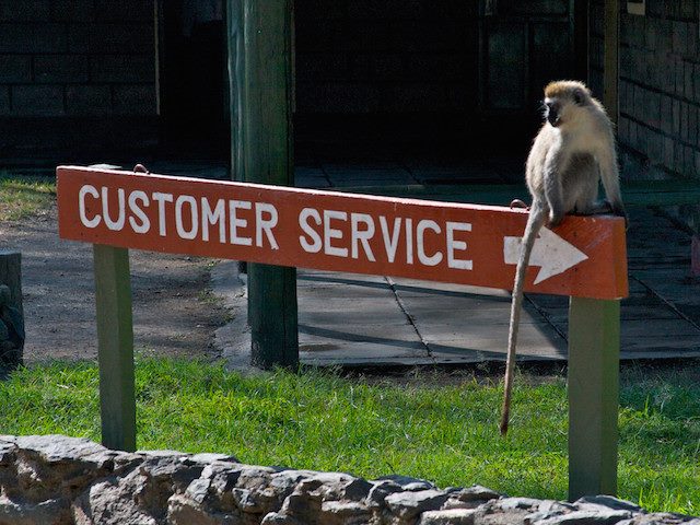 customer service sign with monkey on top