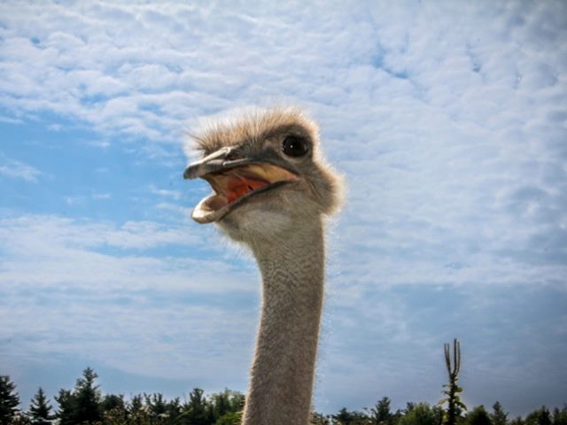 AWS Message is Clear Get Your Head Into Cloud for Agility