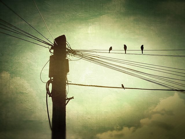 well connected 