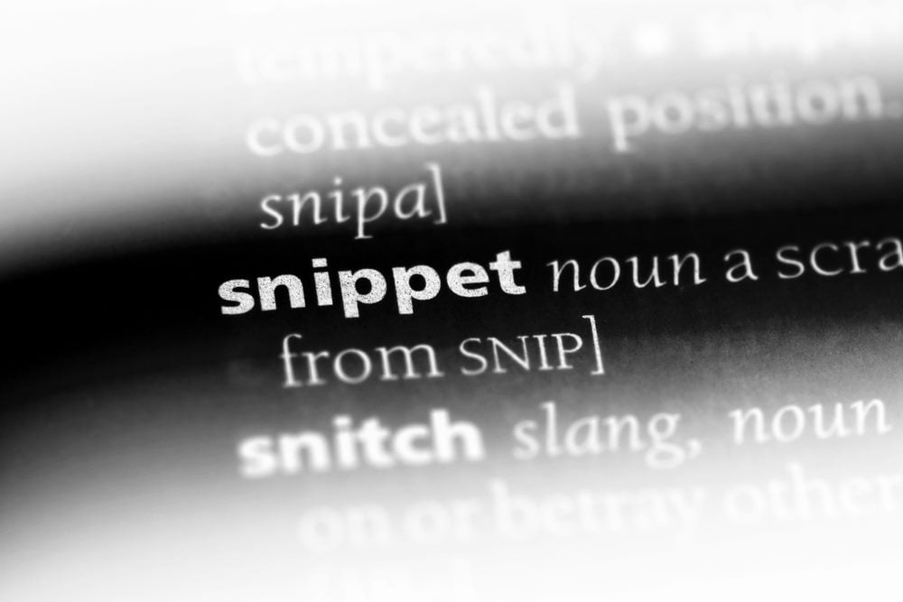 snippet text definition