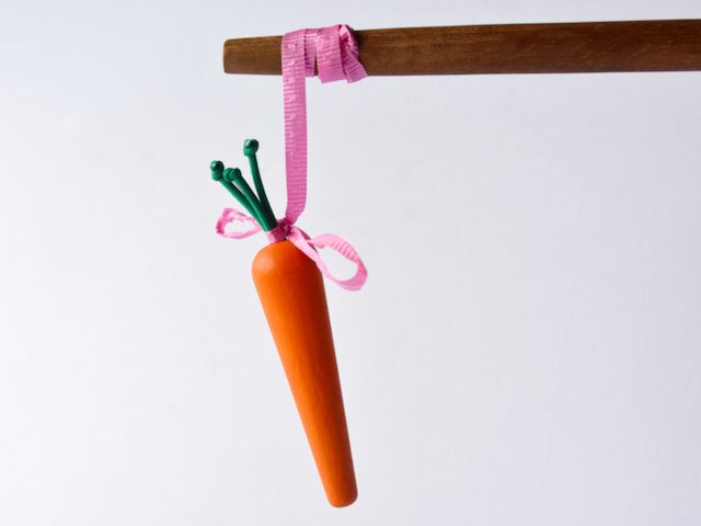 carrot and stick