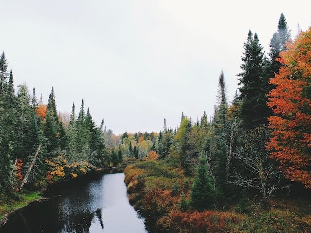 beginning of fall leaves turning