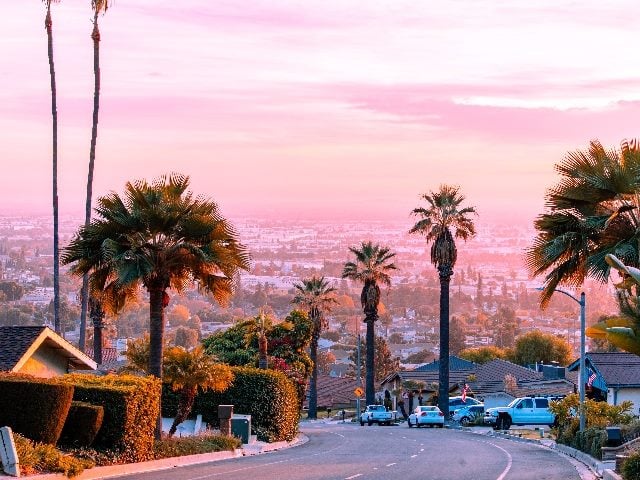  Hilltop landscape from Whittier, Calif. overlooking Los Angeles and Orange County during sunset with palm trees in a residential street. 