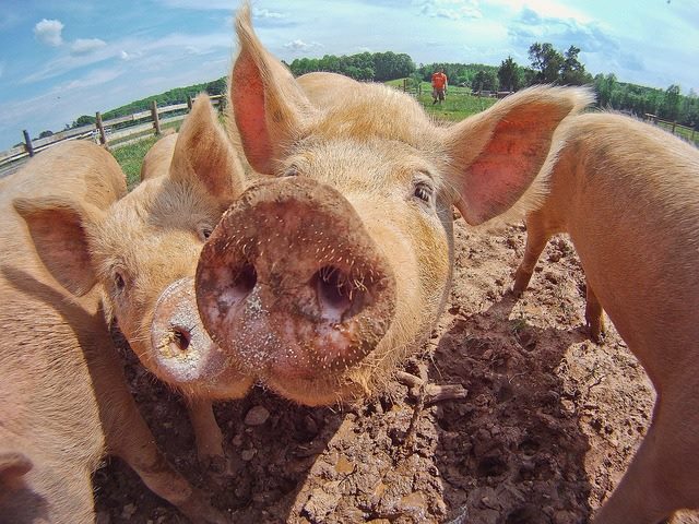 Dirty Data Means Muddied Marketing