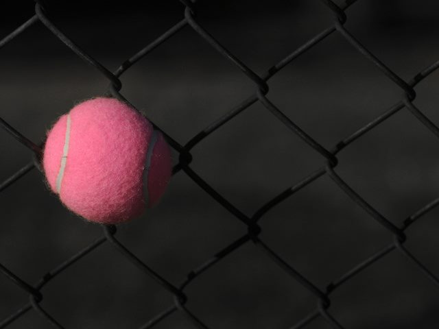 pink tennis ball stuck in a cyclone fence