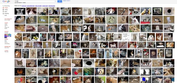 google_lolcats.jpg