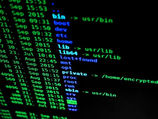 baking privacy into your organization