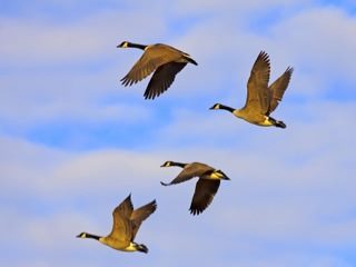 5 Key Steps for Migrating SharePoint to the Cloud