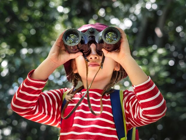  Little girl using binoculars in the forest. 