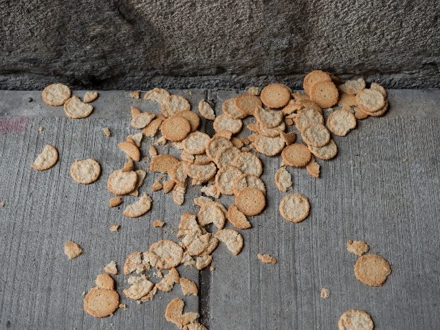  Cookies on the ground. 